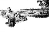 Drawing of Lake Jackson by Joe Markley