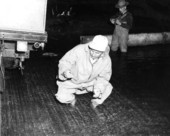 Fisherman tests the waters for striped bass