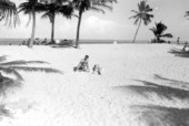Sunbathers on the beach.
