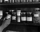Canned foods on the shelf of Adam's country store - White Springs, Florida