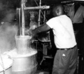 Pea processing plant - Live Oak, Florida