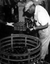 Canning peas at a processing plant - Live Oak, Florida