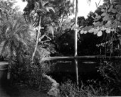 McKee Jungle Gardens - Vero Beach, Florida.