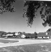 Residential area - Winter haven, Florida