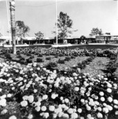 View of flower beds at the Magic Kingdom - Orlando, Florida.