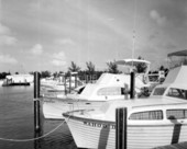 Holiday Isle Marina and yacht basin - Islamorada, Florida