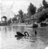 Boat ride attraction with tourists at Busch Gardens - Tampa, Florida.