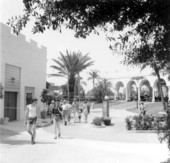 Tourists at Busch Gardens - Tampa, Florida.