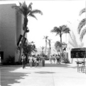 Tourists at Busch Gardens - Tampa, Florida.