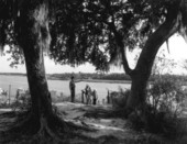 View of visitors to the Indian mounds at Crystal River Archaeological State Park