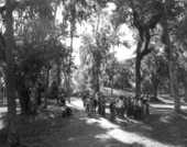 Visitors viewing the Indian mounds at Crystal River Archaeological State Park