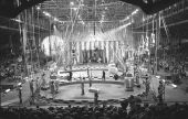 Three ring circus- Sarasota, Florida