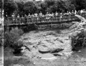 People observing alligators at an alligator farm - St. Augustine, Florida