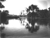 Flood waters on a river