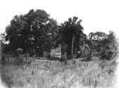 Ruins of New Smyrna Sugar Mill - New Smyrna, Florida