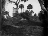 Indian mound