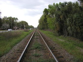 Looking south along CSX train track - Hawthorne, Florida.