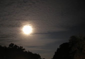 Moon over Melrose during Christmas night.