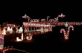 View showing Christmas lights decorating the yard of a house in Melrose, Florida.