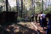 View of visitors on tour at the Hernando de Soto State Archaeological Site - Tallahassee, Florida..