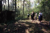 View of visitors being given a tour at the Hernando de Soto State Archaeological Site - Tallahassee, Florida..