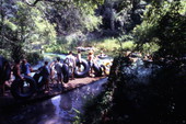 View showing visitors with inner tubes at Ichetucknee Springs State Park - Fort White, Florida.