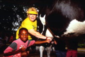 Visitors milking a cow at Green Meadows Farm in Kissimmee, Florida.