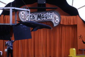 View showing a sea lion in a magic show at the Miami Seaquarium attraction.