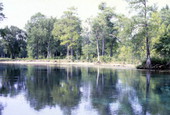 Scenic view of Silver Springs, Florida.