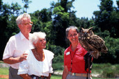 Handler with an Eagle Owl at the Weeki Wachee Springs amusement park - Weeki Wachee, Florida.
