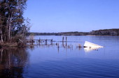 View showing sunken boat at Apalachicola, Florida.