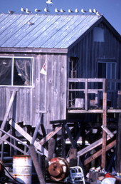 Close-up view of a building in Cedar Key, Florida.