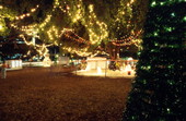 View of Christmas decorations in Coral Gables, Florida.