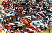 View showing cars on display during the Daytona Turkey Run car show.