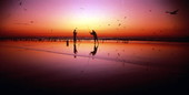 Sunrise surf fishing in Daytona Beach, Florida.