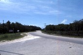 Road in Everglades City, Florida.