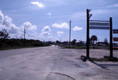 View of a road in Everglades City, Florida.