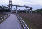 Observation tower in Shark Valley at the Everglades National Park.