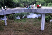 Visitors at the observation tower in Shark Valley at the Everglades National Park.