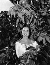 Freda Jones poses in a dress with poinsettias - Cypress Gardens, Florida