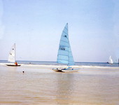 Catamarans on the shore - Jacksonville, Florida