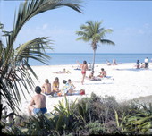 People spending a day at the beach - Key West, Florida