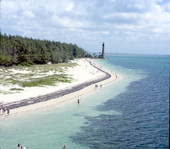People at the beach on the shore by the Cape Florida lighthouse