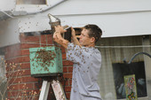 Josh Ray, 21 year old beekeeper from Chattahoochee, removing beehive from eaves of a Tallahassee residence on Vineyard Way.