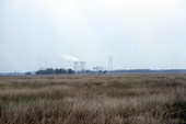 Distant view of Crystal River Power Plant.