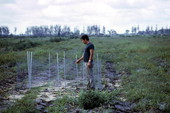Duck trap in corn field.