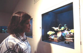Ann McDonald admiring exhibit at the Audubon House - Key West, Florida.