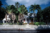 Tennessee Williams' house at 1431 Duncan Street - Key West, Florida.