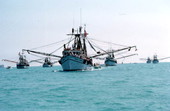 Blessing of the shrimp fleet off Mallory Square - Key West, Florida