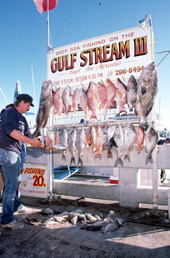 Capt. Walter Kirchner hanging fish on the rack.